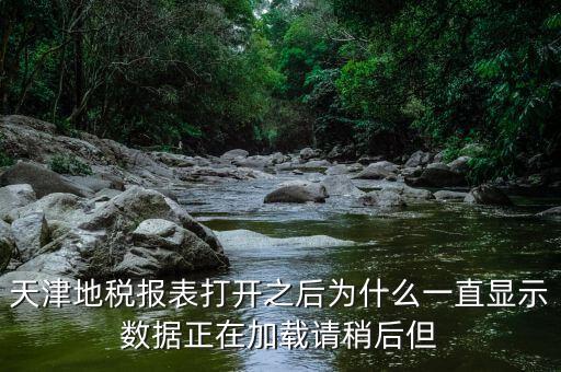 天津地稅為什么，天津地稅報(bào)表打開之后為什么一直顯示數(shù)據(jù)正在加載請(qǐng)稍后但
