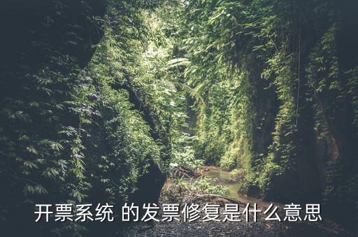 開票系統(tǒng) 的發(fā)票修復是什么意思