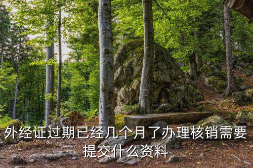 外經證過期已經幾個月了辦理核銷需要提交什么資料