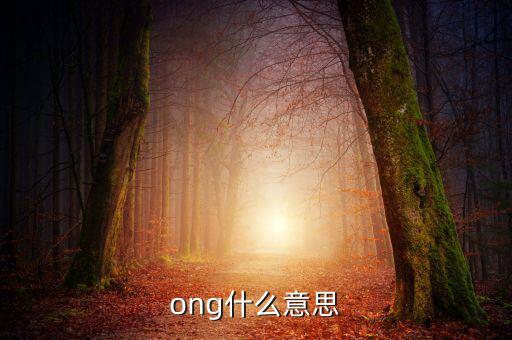 發(fā)票ong什么意思，ong什么意思