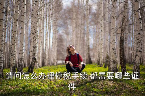 停供發(fā)票需要注意什么手續(xù)，停國稅要怎么辦理 要什么手續(xù)