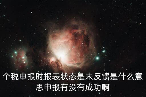 個(gè)稅申報(bào)時(shí)報(bào)表狀態(tài)是未反饋是什么意思申報(bào)有沒有成功啊