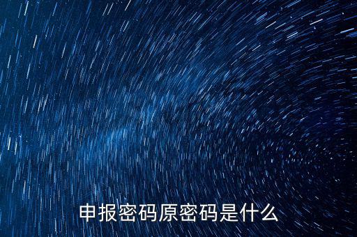 申報(bào)密碼原密碼是什么