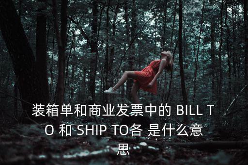 發(fā)票中b o是什么意思，在形式發(fā)票中Merrs是什么意思啊