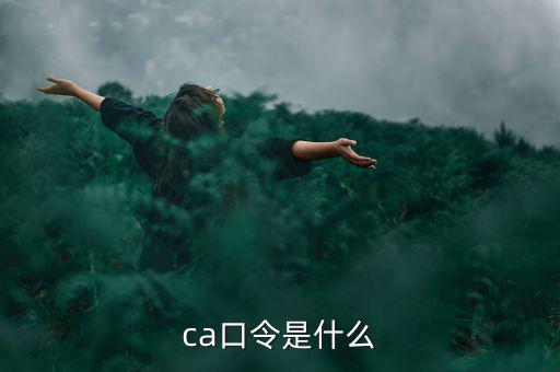 ca口令是什么