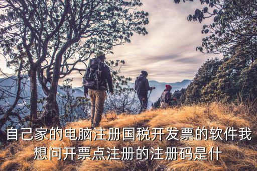 浙江網(wǎng)上稅務(wù)局注冊碼是什么意思，納稅人注冊碼是什么