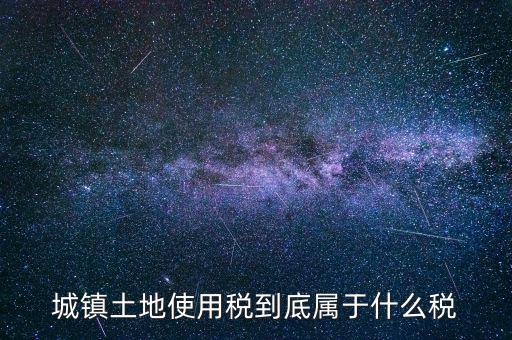 城鎮(zhèn)土地使用稅屬于什么稅種，城鎮(zhèn)土地使用稅到底屬于什么稅