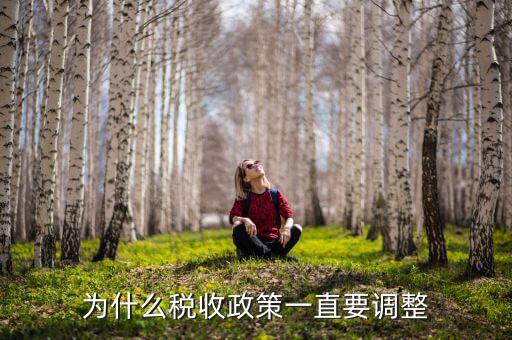 為什么進行納稅調(diào)整，我國為什么要進行個人所得稅調(diào)整高中政治