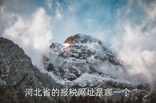 河北稅務(wù)官網(wǎng)是什么，怎么打開河北省國稅網(wǎng)站