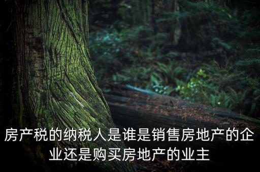 房產稅的納稅人是誰是銷售房地產的企業(yè)還是購買房地產的業(yè)主