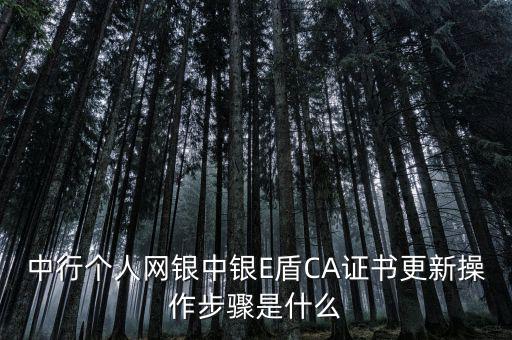 升級ca需要什么，CA證書怎么從副盤升級成正盤