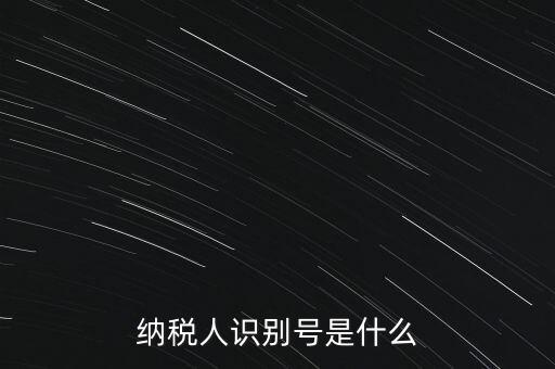 山西國稅納稅人識別號是什么，納稅人識別號是什么