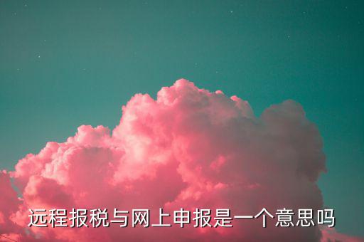 遠程報稅與網上申報是一個意思嗎
