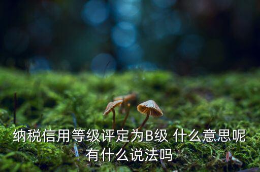 國稅b級(jí)信用是什么意思，納稅信用等級(jí)評(píng)定為B級(jí) 什么意思呢有什么說法嗎