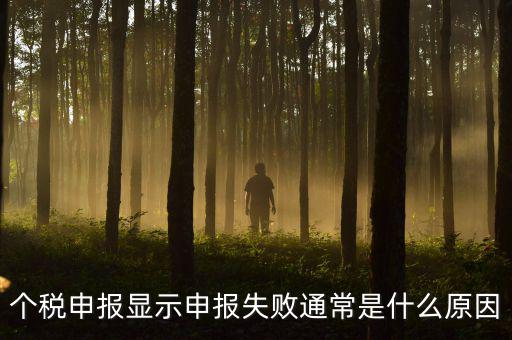 個稅申報系統(tǒng)為什么不能反饋，為什么個人所得稅申報以后反饋信息失敗