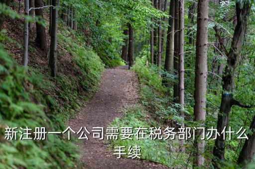 新辦企業(yè)需要到地稅辦理什么手續(xù)費(fèi)，新注冊(cè)一個(gè)公司需要在稅務(wù)部門辦什么手續(xù)