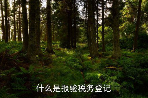 稅務(wù)上什么叫報驗，納稅人狀態(tài)是報驗是什么意思