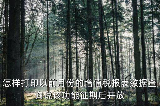 46月份征期是什么意思，怎樣打印以前月份的增值稅報(bào)表數(shù)據(jù)查詢說(shuō)該功能征期后開(kāi)放