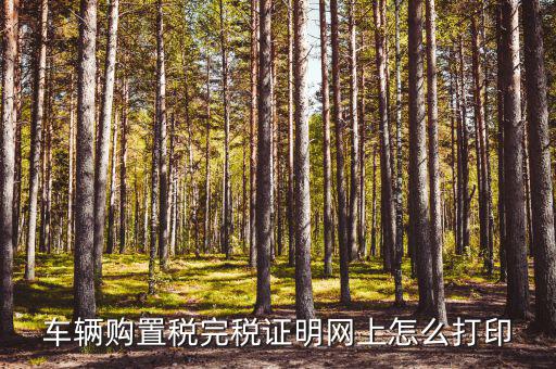 什么是購置稅完稅證明，車輛購置稅完稅證明是什么它在二手車交易中起什么作用