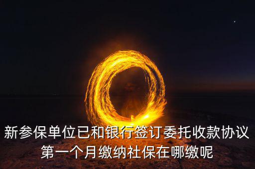 什么時候辦理授權(quán)劃繳協(xié)議，如何取得委托銀行劃轉(zhuǎn)地方稅費授權(quán)書協(xié)議書去銀行還是去地稅