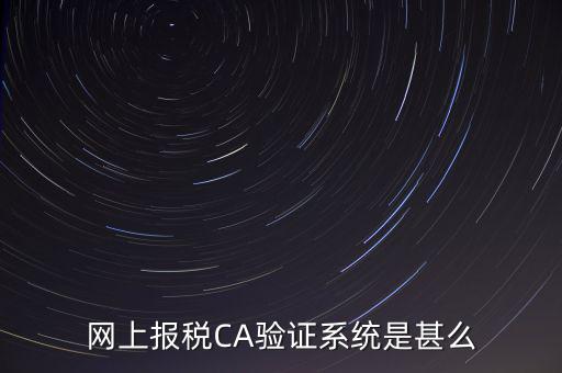 網(wǎng)上報(bào)稅CA驗(yàn)證系統(tǒng)是甚么