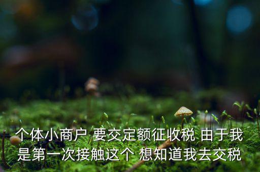 定額納稅到什么地方繳，定額征收的個(gè)體需繳納什么地稅