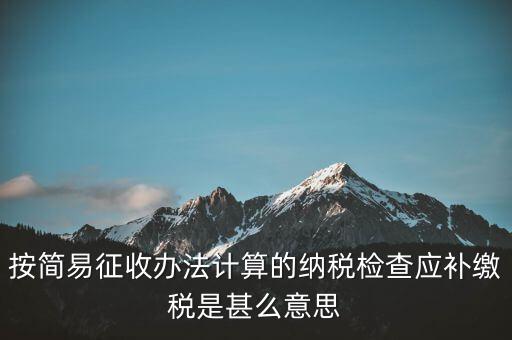 簡易征收什么意思，按簡易征收辦法計算的納稅檢查應(yīng)補繳稅是甚么意思