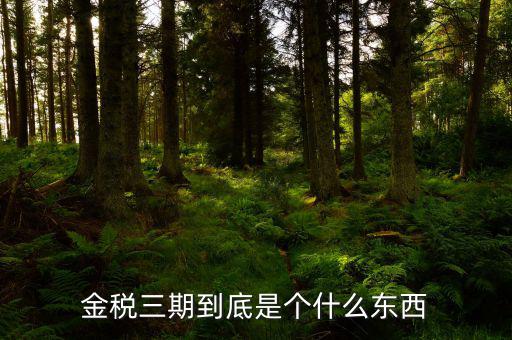 金三上線是什么意思，什么是稅務(wù)金山系統(tǒng)