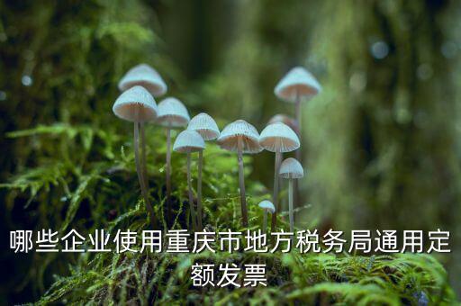 定額發(fā)票什么行業(yè)，哪些企業(yè)能買手撕定額發(fā)票小規(guī)模生產(chǎn)企業(yè)已經(jīng)開了普通發(fā)票能買