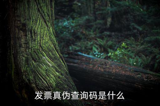 網(wǎng)絡(luò)發(fā)票查詢號是什么，發(fā)票真?zhèn)尾樵兇a是什么
