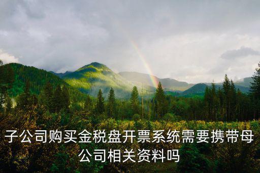 子公司購(gòu)買金稅盤開票系統(tǒng)需要攜帶母公司相關(guān)資料嗎