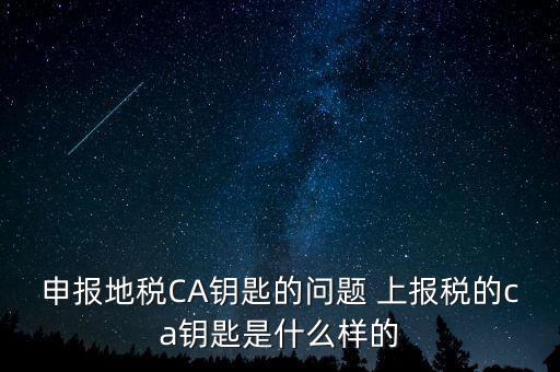 ca鑰匙是什么，申報地稅CA鑰匙的問題 上報稅的ca鑰匙是什么樣的
