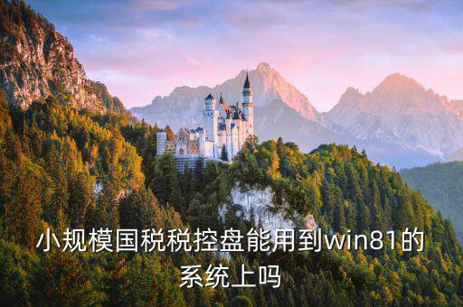 稅盤安裝支持什么系統(tǒng)下載，稅控發(fā)票開票軟件v2130170612能在win10上安裝嗎