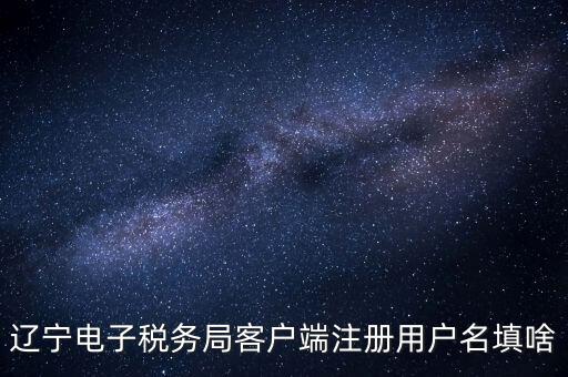 遼寧省網(wǎng)上稅務局登錄需要什么，遼寧電子稅務局客戶端注冊用戶名填啥