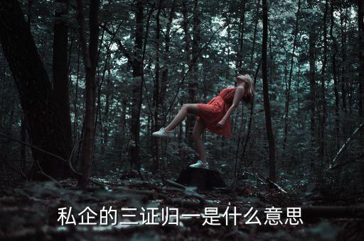 公司的三證合一是什么，什么是三證合一