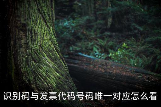 發(fā)票查詢識別碼是什么，識別碼與發(fā)票代碼號碼唯一對應(yīng)怎么看