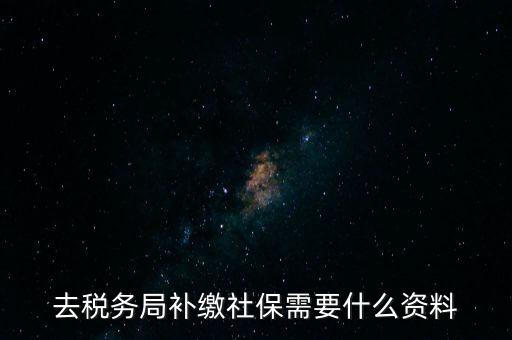 去稅務(wù)局補繳社保需要什么資料