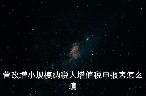 營改增需要填什么表，營改增小規(guī)模納稅人網(wǎng)上納稅申報需要填寫幾張表