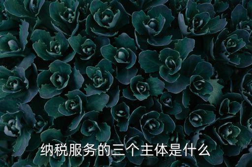 納稅服務(wù) 是什么，納稅服務(wù)的三個(gè)主體是什么