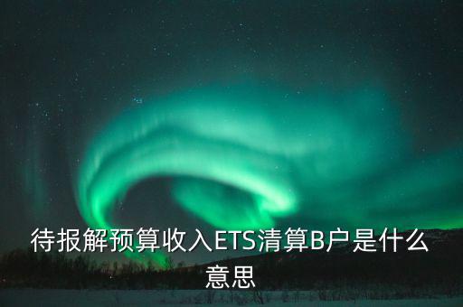地稅b戶是什么，待報(bào)解預(yù)算收入ETS清算B戶是什么意思