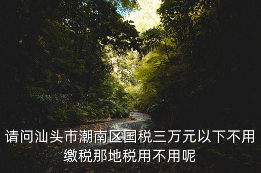 國稅3萬元不到地稅要交什么稅，請(qǐng)問汕頭市潮南區(qū)國稅三萬元以下不用繳稅那地稅用不用呢