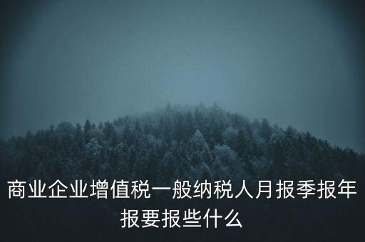 商業(yè)企業(yè)增值稅一般納稅人月報季報年報要報些什么