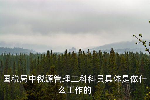 國(guó)稅局中稅源管理二科科員具體是做什么工作的