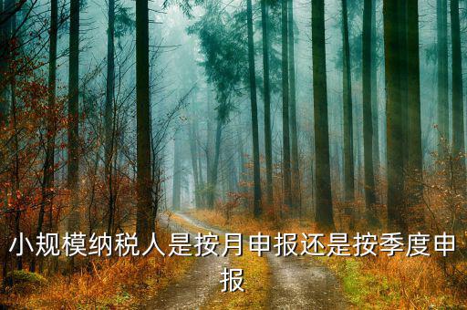 小規(guī)模納稅人按季申報(bào)是指什么，增值稅小規(guī)模納稅人按季申報(bào)怎么填