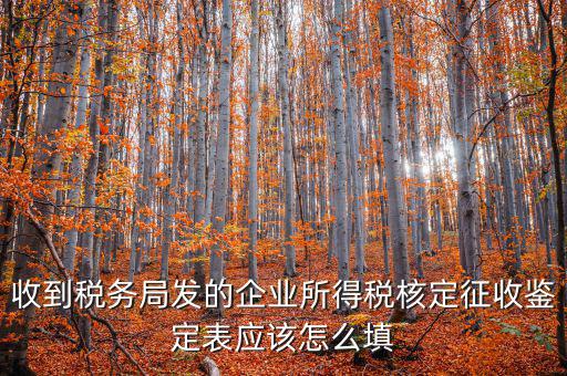 去稅務(wù)局核定征收填什么，核定征收企業(yè)報所得稅在去稅務(wù)局核定時需要拿什么資料