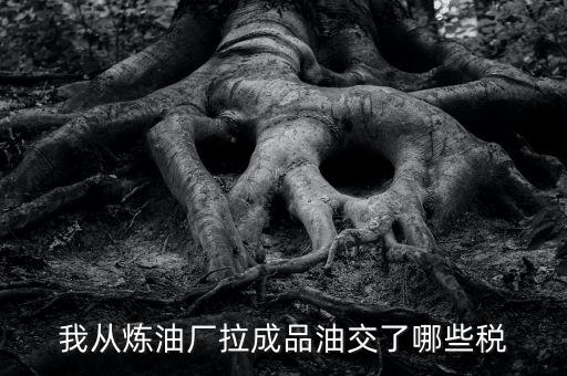 我從煉油廠拉成品油交了哪些稅