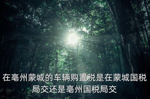 國稅局掛牌是什么意思，濮陽摩托辦照