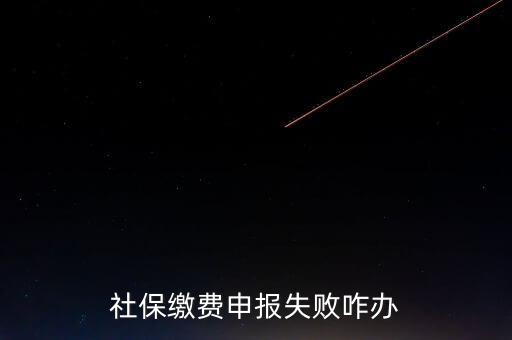 社保費(fèi)申報為什么進(jìn)不去，社保繳費(fèi)申報失敗咋辦