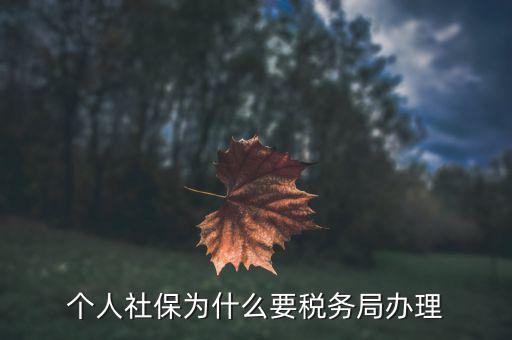 社會(huì)保險(xiǎn)繳納和稅務(wù)局什么關(guān)系，社保為什么要稅務(wù)部門征收