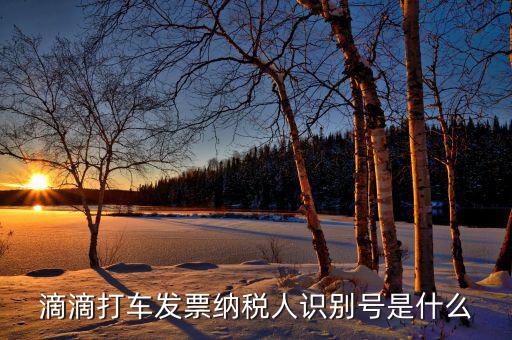 稅優(yōu)識(shí)別號(hào)是什么，滴滴打車發(fā)票納稅人識(shí)別號(hào)是什么